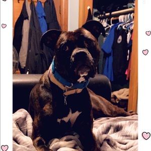 Meet your Posher, Heather